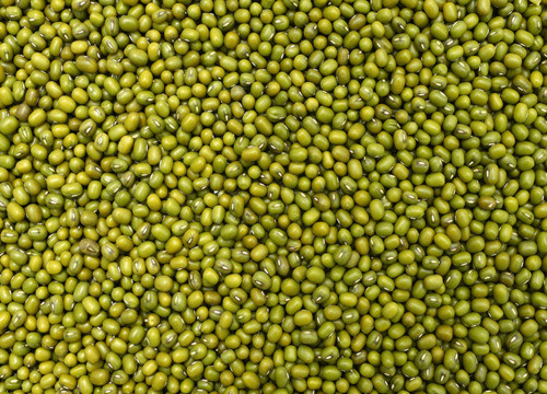 Green Gram Beans(Mung bean)